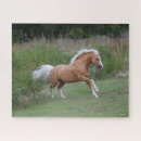 Recherche de chevaux palomino puzzles Courir