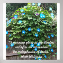 Suche nach wind poster Blumen