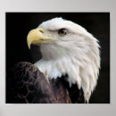 Suche nach kopf poster Vögel