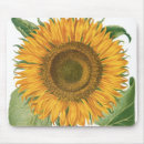 Suche nach vintage sonnenblumen mousepads Natur