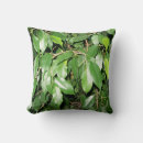 Recherche de solarium coussins Vert