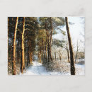 Suche nach winter scene postkarten Wald