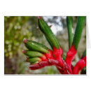 Recherche de australie occidentale cartes postales Fleurs