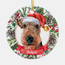 Suche nach airedale terrier ornamente Dog