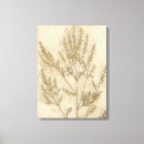 Recherche de feuillage impressions sur toile Botanique