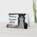 Suche nach colt karten Pony
