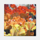 Recherche de keukenhof Tourisme
