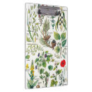 Suche nach gemüse klemmbrett Pflanze