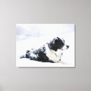 Suche nach blizzard leinwandbilder Tag