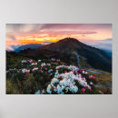 Suche nach rhododendron poster Nature