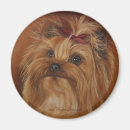 Suche nach yorkshire terrier magnete Haustier