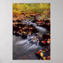 Recherche de leafies posters Black