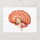 Recherche de lobe cartes postales Communication