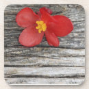 Suche nach dauerhaft untersetzer Modern