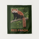 Recherche de panda rouge art Nature