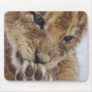 Suche nach tatzen mousepads Niedlich
