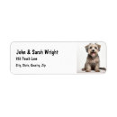 Recherche de lhasa cartes postales Animal