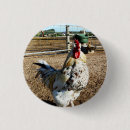 Recherche de volailles badges Coq