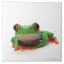 Suche nach die reptilien fliesen Kaltblütig