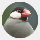 Recherche de finition autocollants Moineau