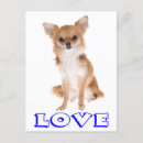 Suche nach hair poster Welpe