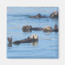Suche nach otter magnete Niedlich