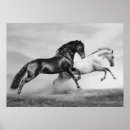 Recherche de equin art Bête