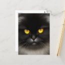 Suche nach persian postkarten Niedlich