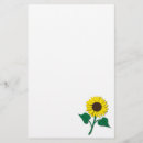 Suche nach papierblume Frühling