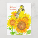 Suche nach kansas postkarten Sonnenblumen