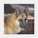 Suche nach german magnete Hund