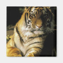 Suche nach zoo magnete Tiger