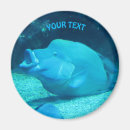 Suche nach fischer magnete Für sie