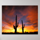 Suche nach arizona poster Saguaro