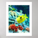 Suche nach tanger poster Tier