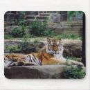 Suche nach gefährdet mousepads Zoo