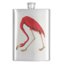 Suche nach rosa flamingo flachmänner Tier