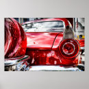 Suche nach hinterteil poster Schwanz