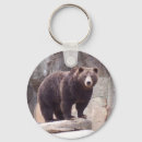 Suche nach braunbär schlüsselanhänger Natur