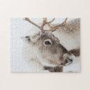 Recherche de renne puzzles Neige
