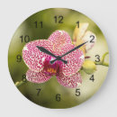 Recherche de orchids horloges Floraison