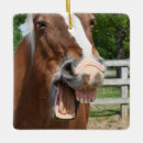 Suche nach der lustige bauernhof ornamente Land