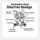 Suche nach sibirischer husky aufkleber Welpe