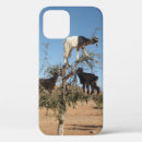 Recherche de de chèvre iphone coques Chèvres