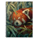 Suche nach panda geschenke Generativitätsinhalt