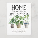 Recherche de plante cartes postales Plante en pot