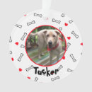 Suche nach knochen ornamente Spaß