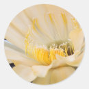 Recherche de hybrides autocollants Fleur