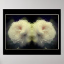 Suche nach abstrakte rose poster Blume