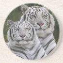 Suche nach weißer tiger untersetzer Groß